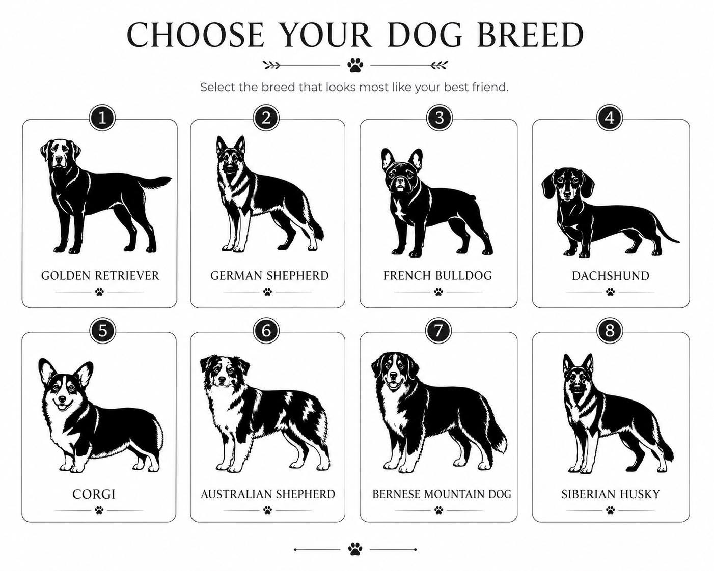 The image is a collage of eight black and white illustrations of different dog breeds, each depicting a dog of a specific breed.